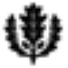 UConn Fire Logo