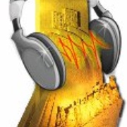 Radio Portugal Logo