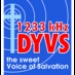 1233 DYVS - DYVS Logo