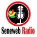 Seneweb Radio Logo