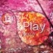 Play FM Logo