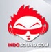 Internet Radio Logo