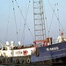 Radio Caroline 259 Gold Logo