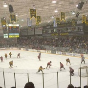 Clarkson University Hockey Radio Logo