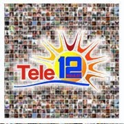 Tele 12 Logo