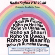 Radio Safina FM Logo
