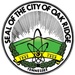 Anderson County Sheriff and Oak Ridge Police Logo