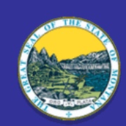 Gallatin County 9-1-1 Center Logo