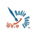 Radio Valley Logo