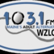 The Zone - WZON Logo