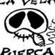Viva FM Logo