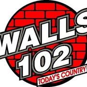 Walls 102 - WALS Logo