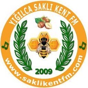 Saklikent FM Logo