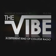 The Vibe - WNGR-LP Logo