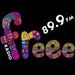 Radio Freee - 89.9 FM Logo