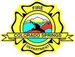 Colorado Springs Fire and EMS Logo