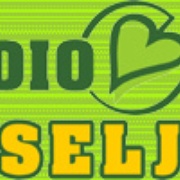 Radio Veseljak Logo