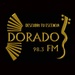 Chamamé Dorado FM 98.3 Logo