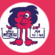Radio Meneghina Logo