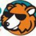 K-BEAR - KKBR Logo