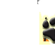 Cat Country 99.5 - CKTY Logo