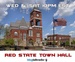 Red State Talk Radio Logo