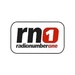 Radio Number One Logo