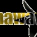 GhanaWaves Radio Logo