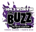The Buzz - WZIN Logo