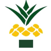 Ananaz Radio Logo
