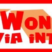Vlaamse Wonderjaren Logo
