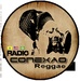 Radio Conexao Reggae Logo