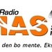 Radio Mas Logo