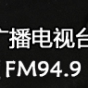 Panshan Pingshu & Entertainment Radio 94.9 Logo