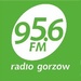 PR Radio RMG Logo