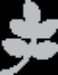 Club Musix Hardstyle Logo