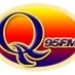 Wice QFM Logo