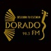 Radio Chamamé Dorado - 98.3 FM Logo
