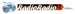 Live Radio New Zealand Logo
