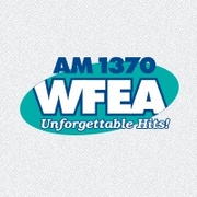 WFEA Logo