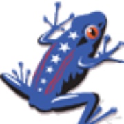 The Frog - WFGF Logo