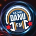 Danu Radio 87.7 - WNYZ-LP Logo