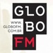 Rádio Globo FM (Rio de Janeiro) Logo