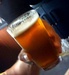 Okemos Brewing Company Logo
