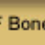 Bonesha FM Logo