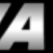 WAVM Logo