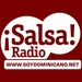 Salsa Radio Dominicana Logo