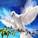 Bendiciendote FM Logo