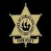 Albany County Sheriff, Fire, and EMS Logo
