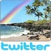 Hawaiian Rainbow Logo